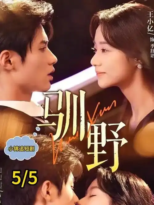 归途列车 温情治愈剧全集在线观看